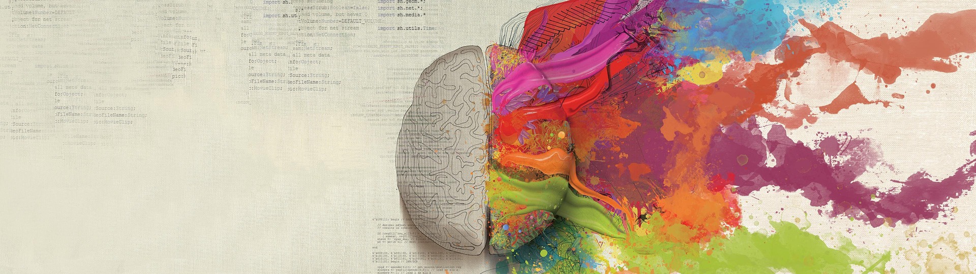 Ein Gehirn auf dessen linker Seite Formeln und Zahlen stehen und aus der rechten Seite fließen Farben heraus